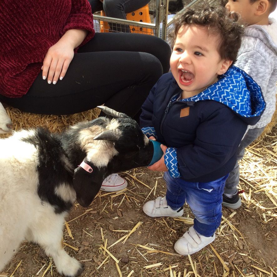 A child meeting an animal during an A.C.E incursion